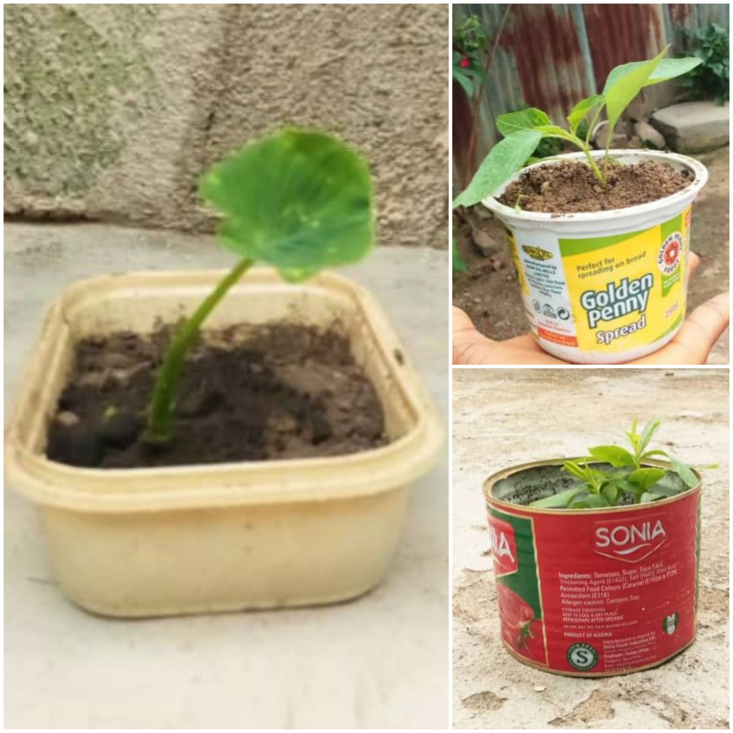 Repurposing plastics for planting